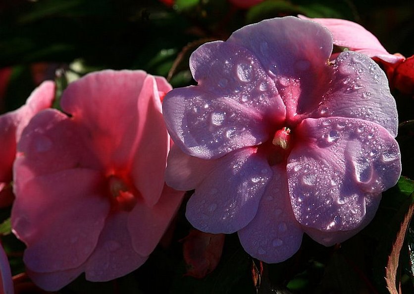 Foto de Lanzarote (Las Palmas), España
