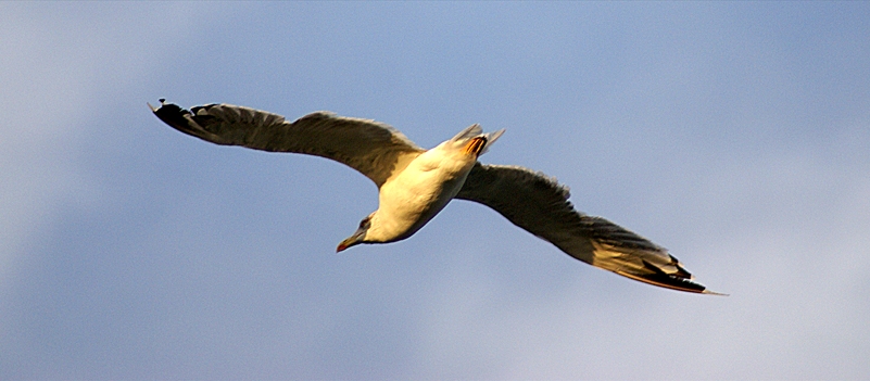 Foto de Lanzarote (Las Palmas), España