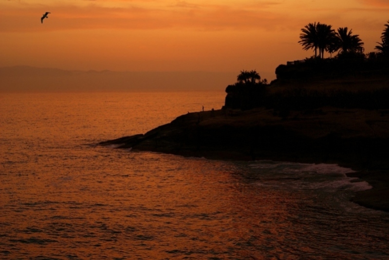 Foto de Lanzarote (Las Palmas), España