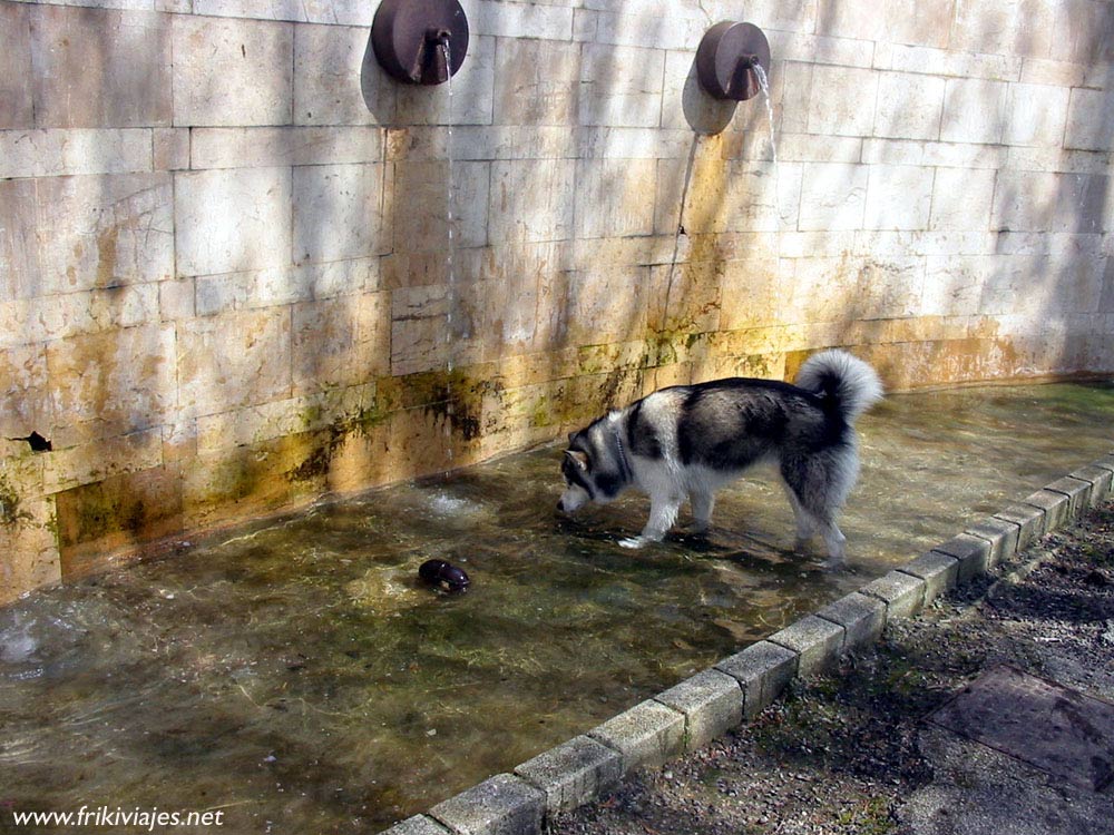 Foto de Avilés (Asturias), España