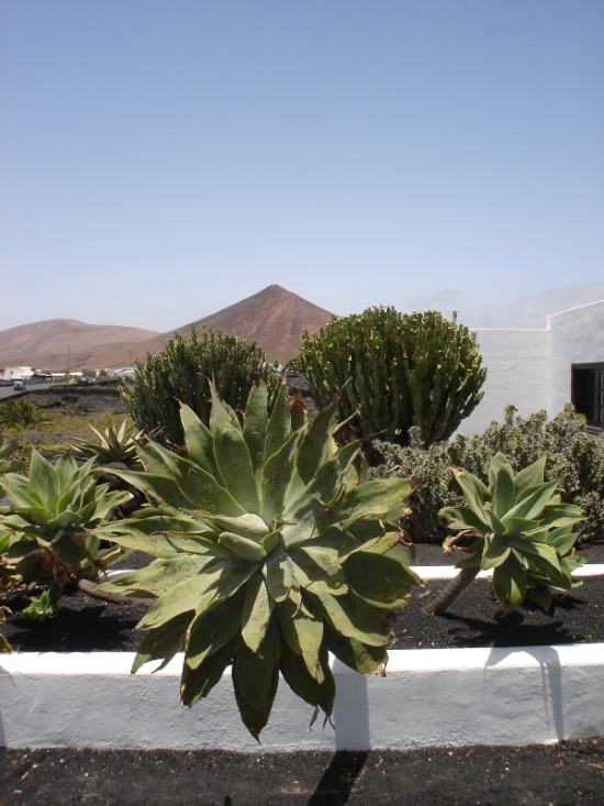 Foto de Lanzarote (Las Palmas), España