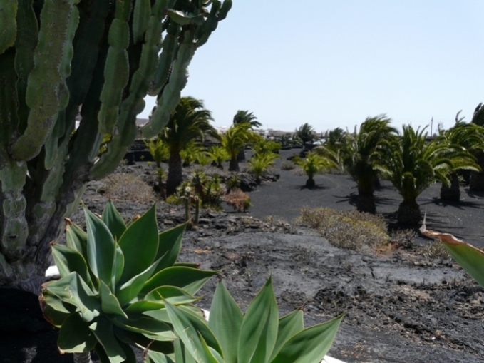 Foto de Lanzarote (Las Palmas), España