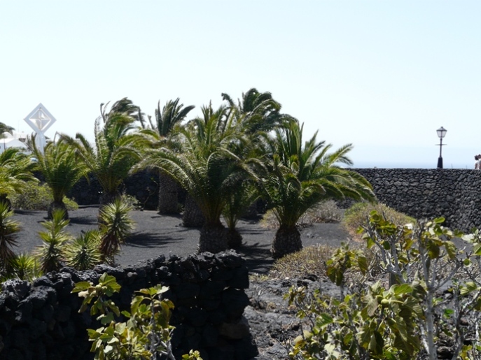 Foto de Lanzarote (Las Palmas), España