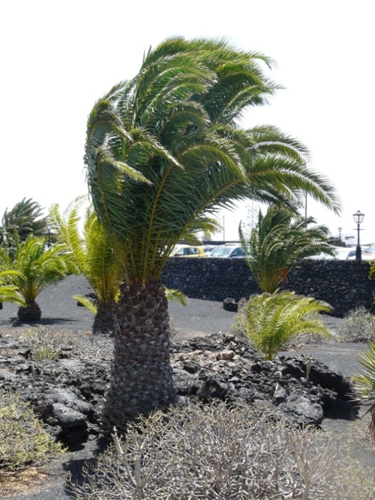 Foto de Lanzarote (Las Palmas), España