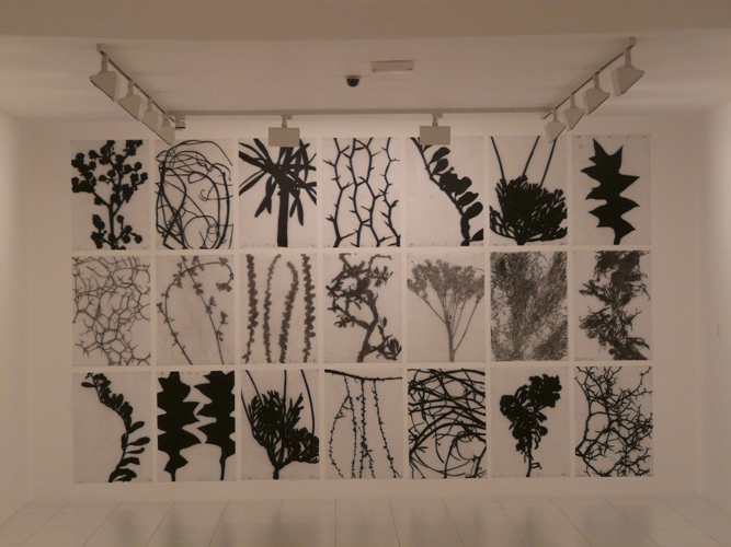 Foto de Lanzarote (Las Palmas), España