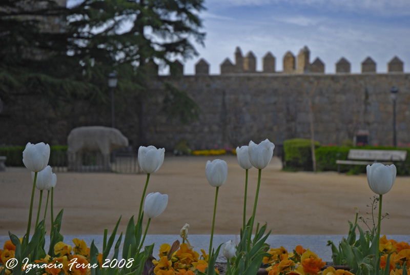 Foto de Ávila (Castilla y León), España
