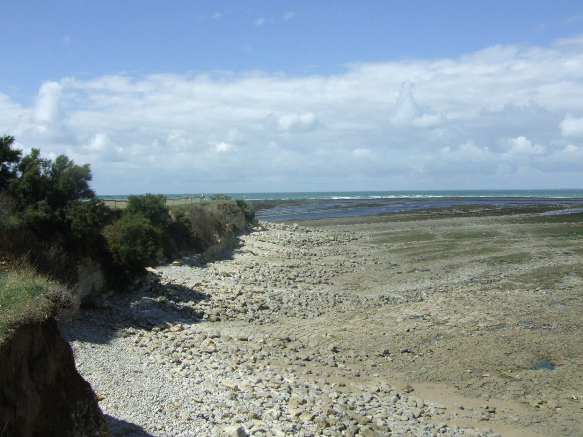 Foto de Chassiron, Francia