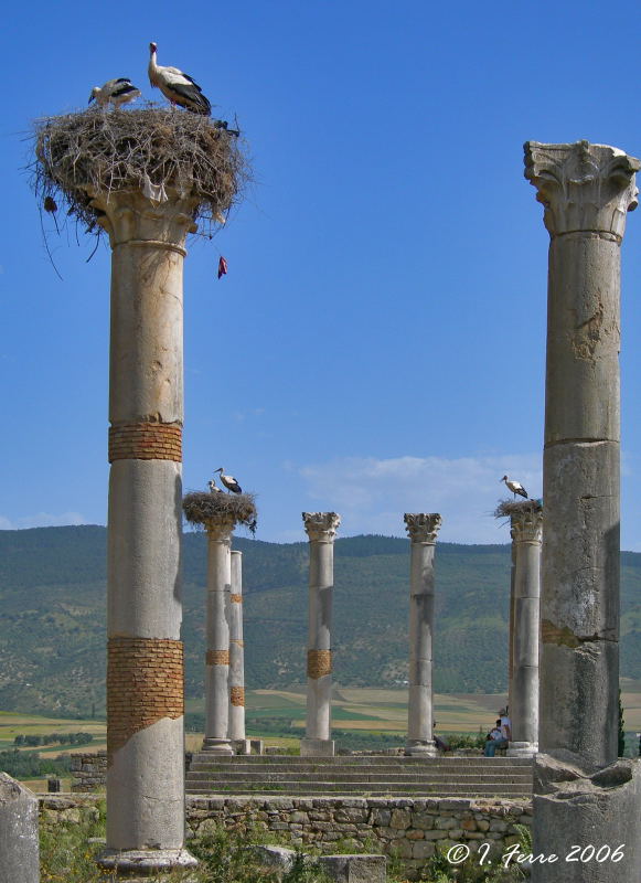 Foto de Volubilis, Marruecos