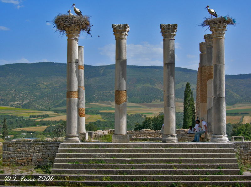 Foto de Volubilis, Marruecos