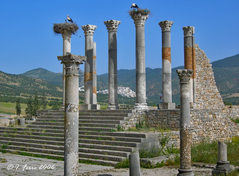 Foto de Volubilis, Marruecos