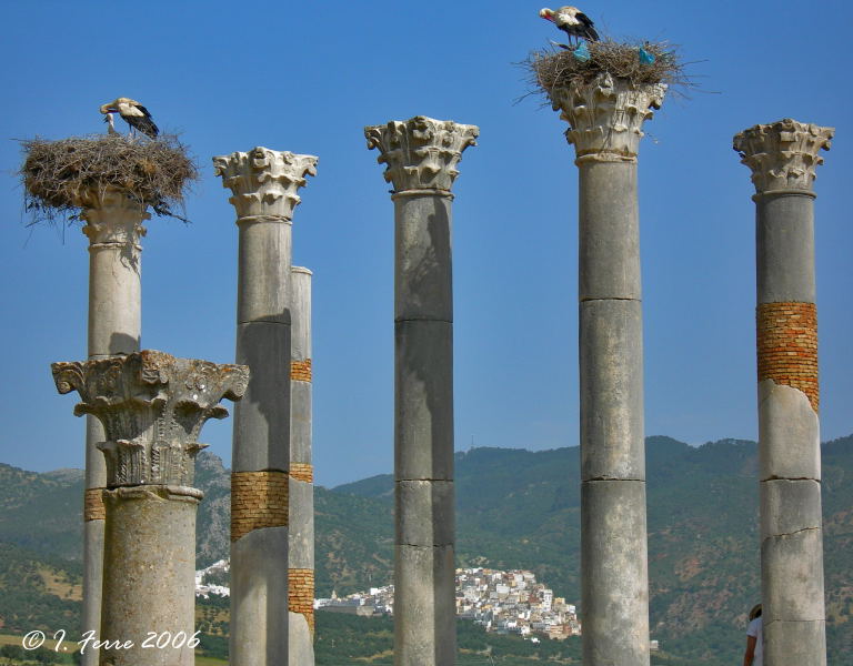 Foto de Volubilis, Marruecos