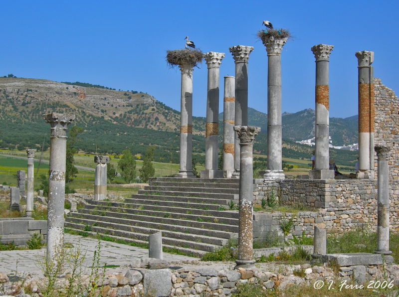 Foto de Volubilis, Marruecos
