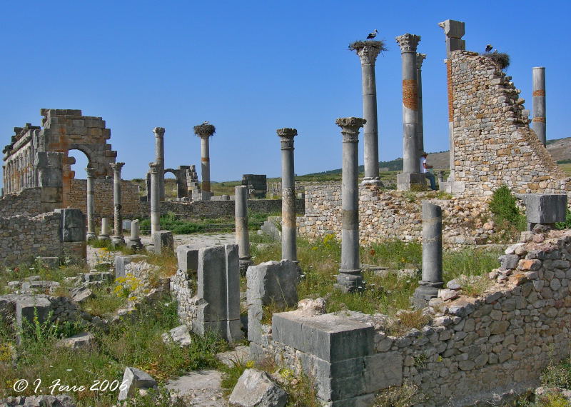 Foto de Volubilis, Marruecos