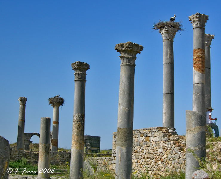Foto de Volubilis, Marruecos