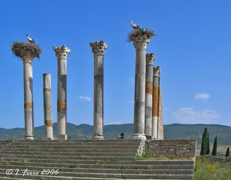 Foto de Volubilis, Marruecos