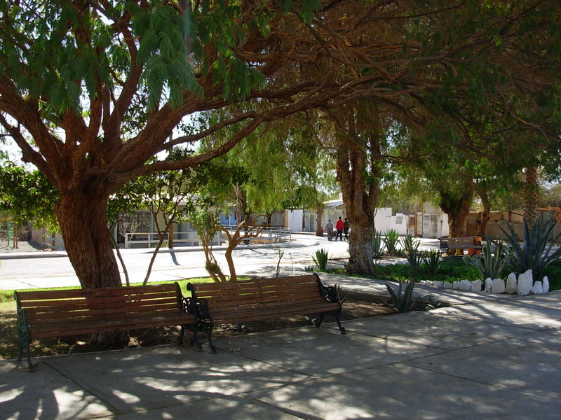 Foto de La Huayca, Chile