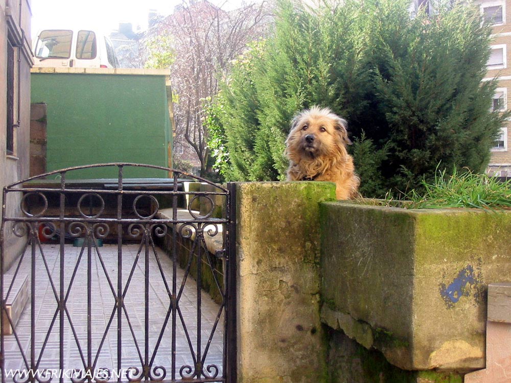 Foto de Mieres (Asturias), España