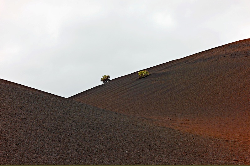 Foto de Lanzarote (Las Palmas), España
