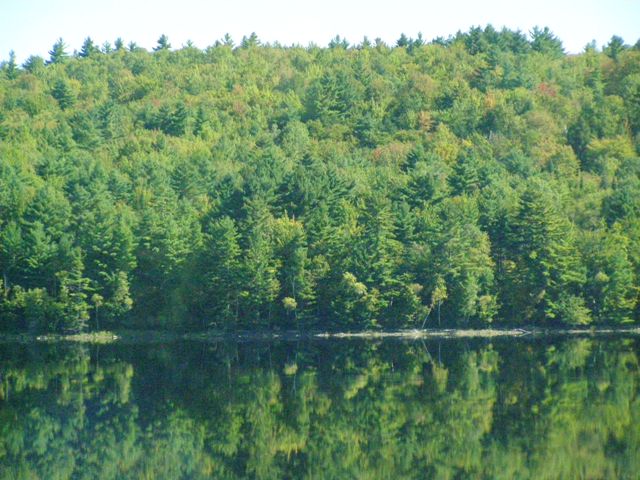 Foto de New Hampshire, Estados Unidos