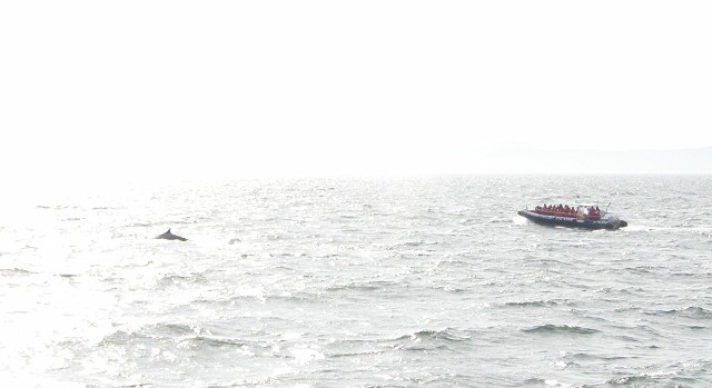 Foto de Tadoussac, Canadá