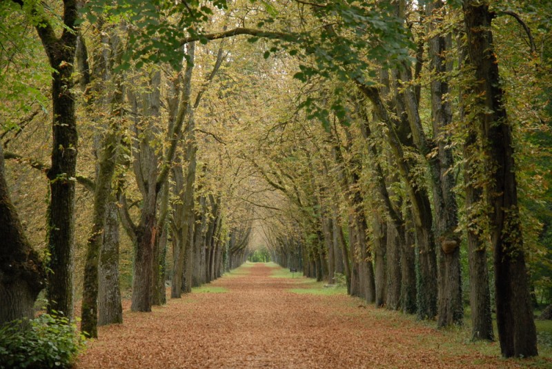 Foto de Bruselas, Bélgica