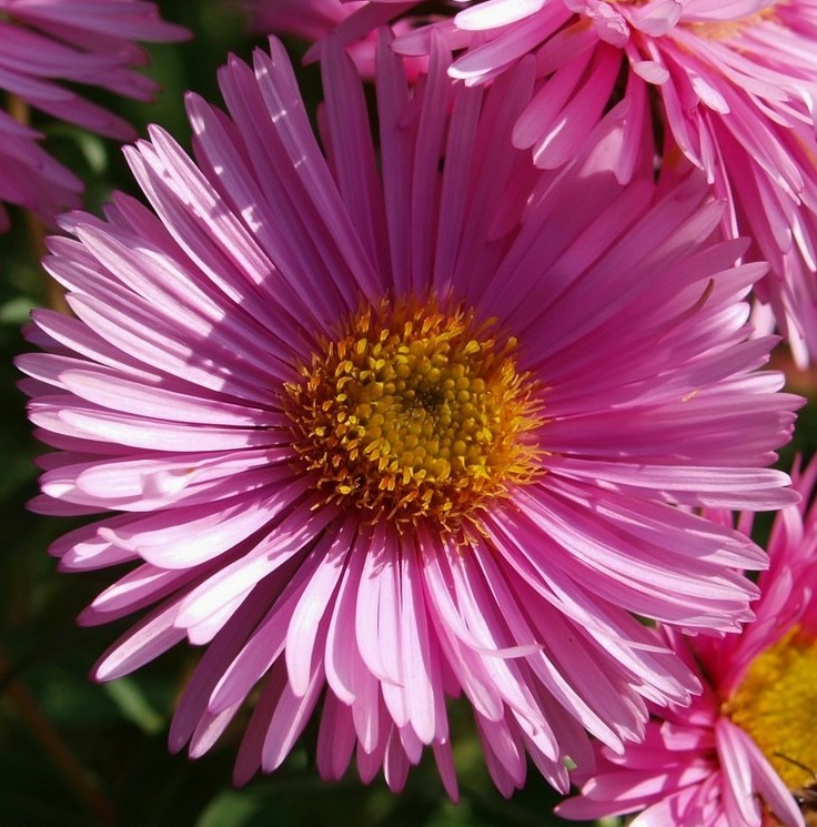 Foto de Lanzarote (Las Palmas), España