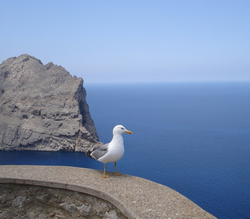 Foto de Mallorca (Illes Balears), España