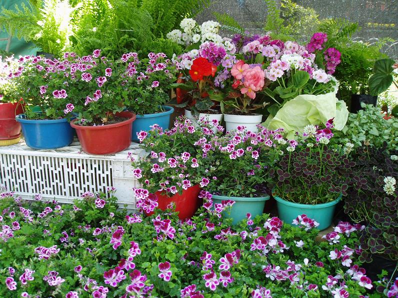 Foto de Cochabamba, Bolivia