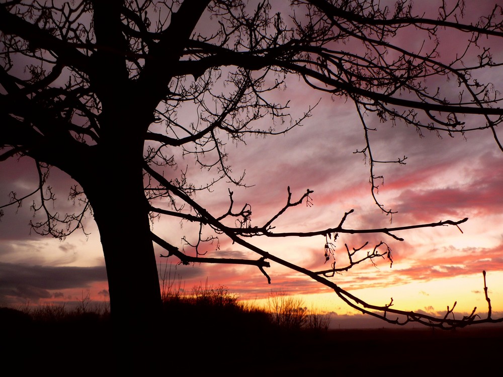 Foto de Montseny (Barcelona), España