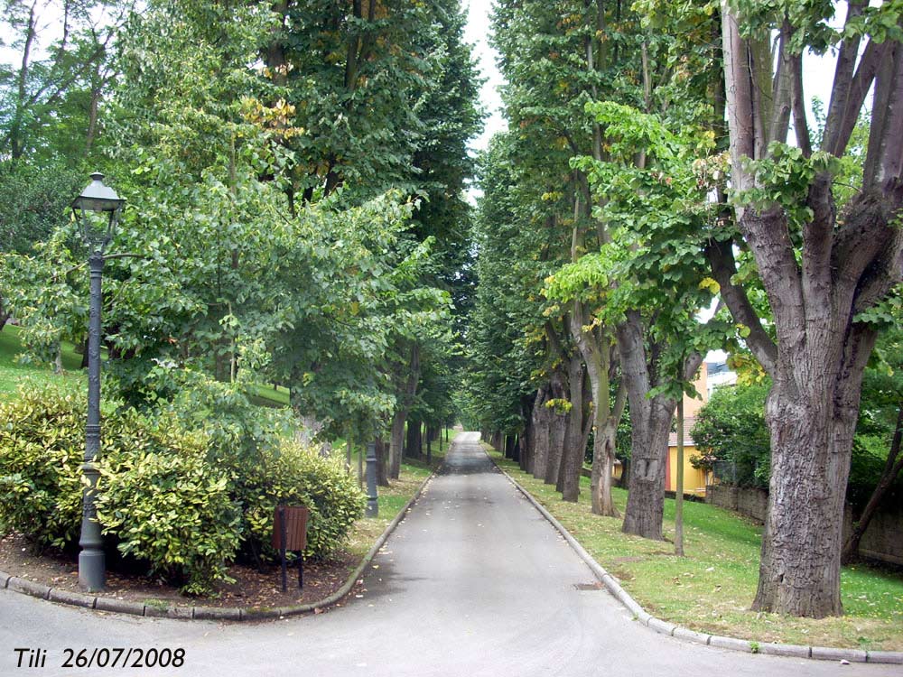 Foto de Oviedo (Asturias), España