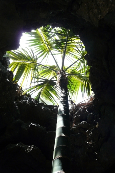 Foto de Lanzarote (Las Palmas), España