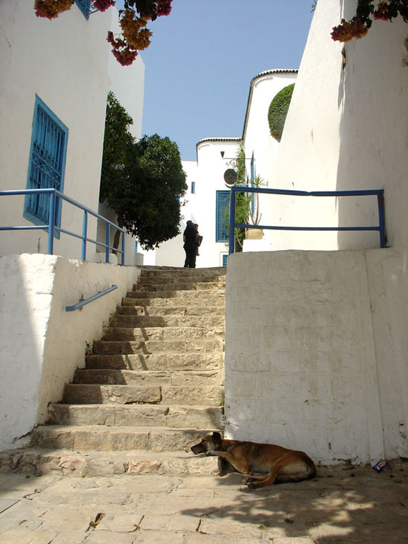 Foto de Sidi Bou Said, Túnez