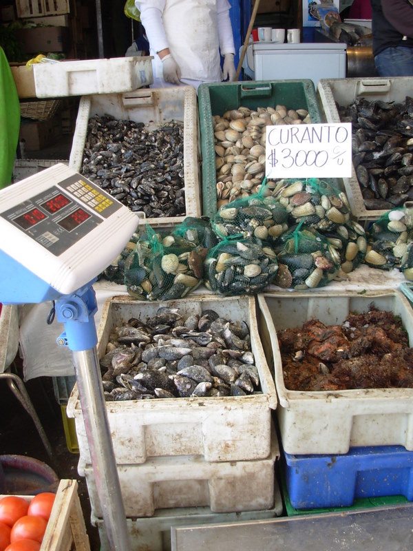 Foto de Santiago, Chile