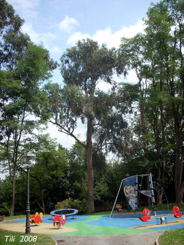Foto de Oviedo (Asturias), España
