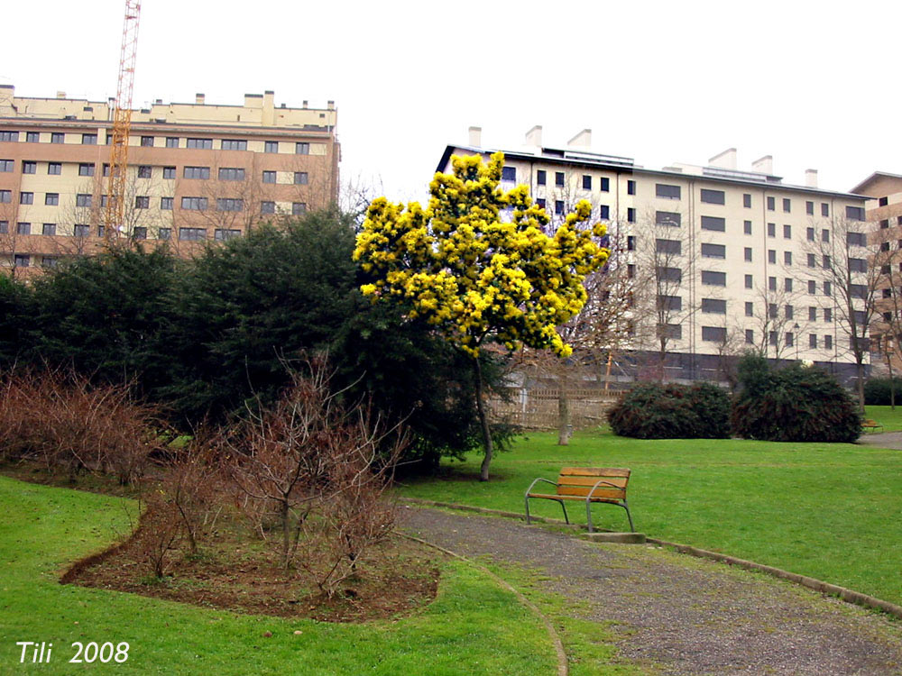 Foto de Avilés (Asturias), España