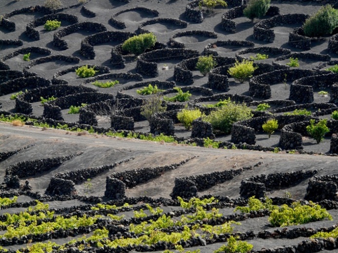 Foto de Lanzarote (Las Palmas), España