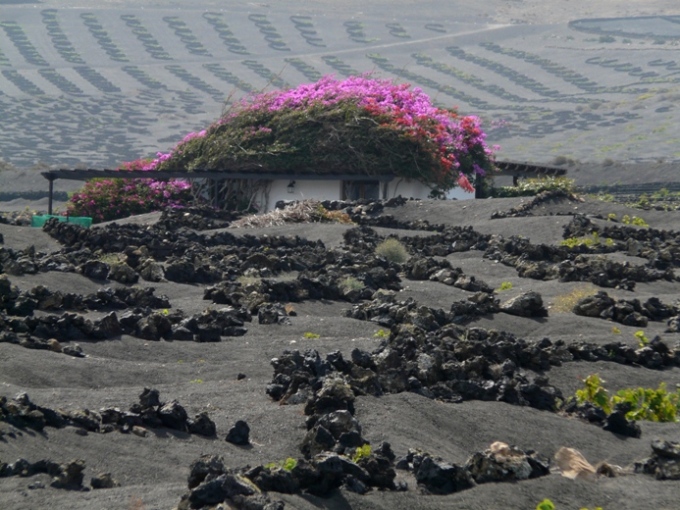 Foto de Lanzarote (Las Palmas), España