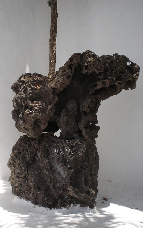 Foto de Lanzarote (Las Palmas), España