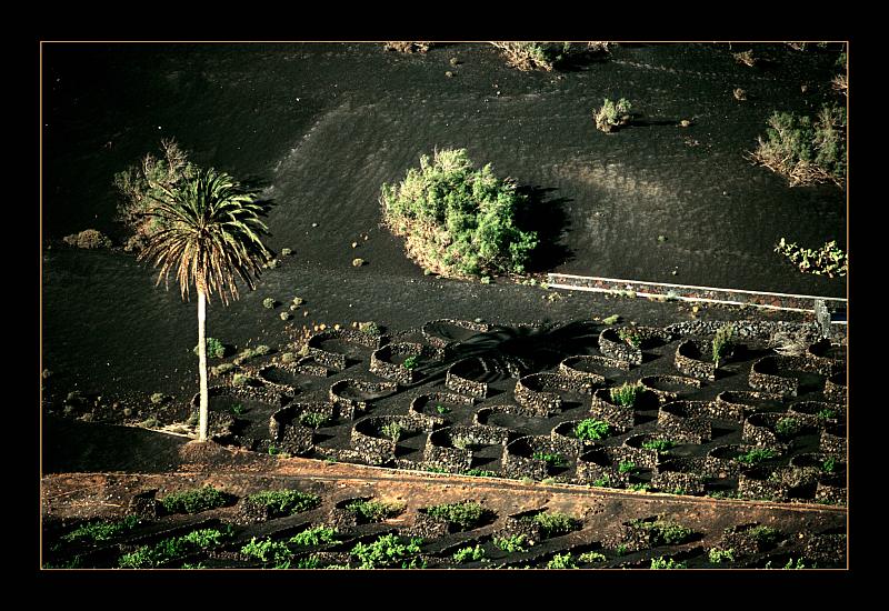 Foto de Lanzarote (Las Palmas), España