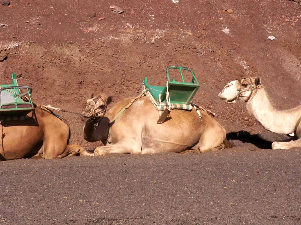 Foto de Lanzarote (Las Palmas), España