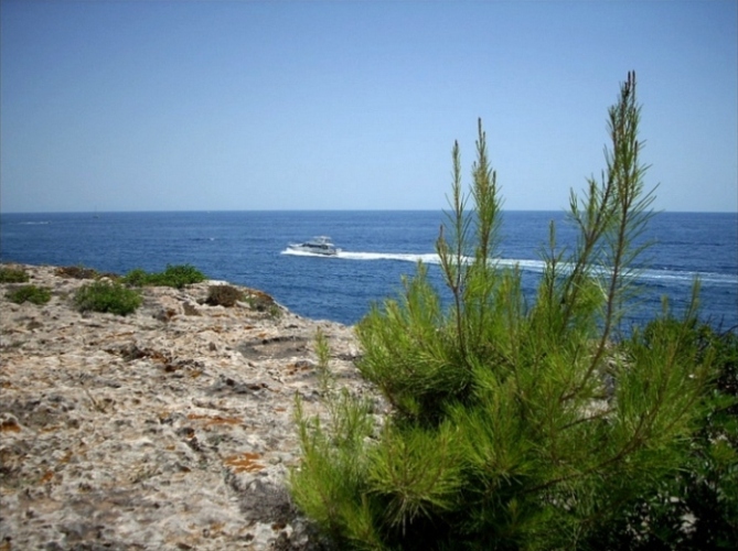 Foto de Mallorca (Illes Balears), España