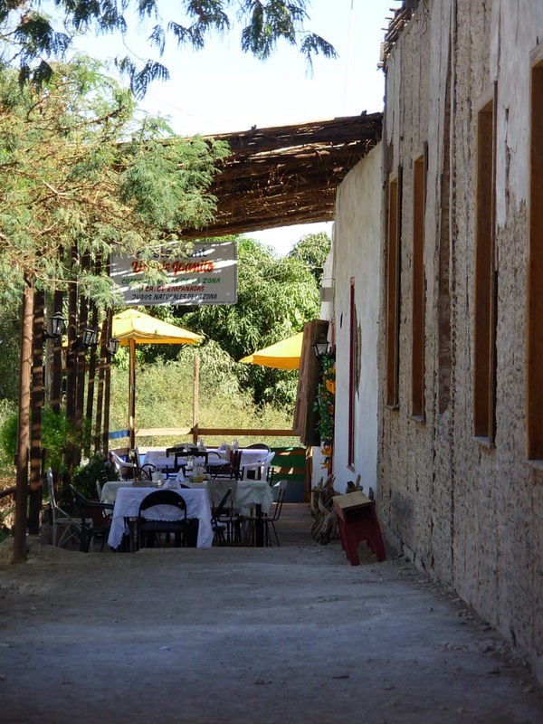 Foto de Matilla, Chile