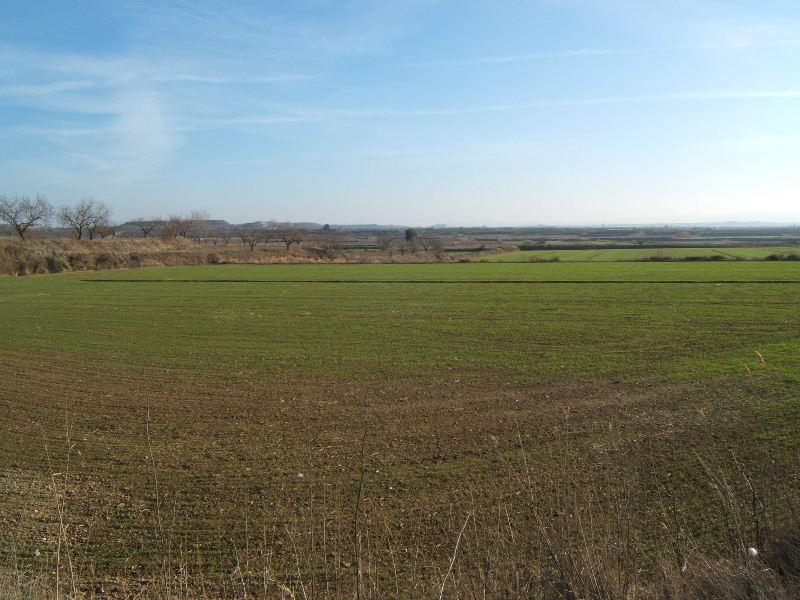 Foto de Juneda (Lleida), España