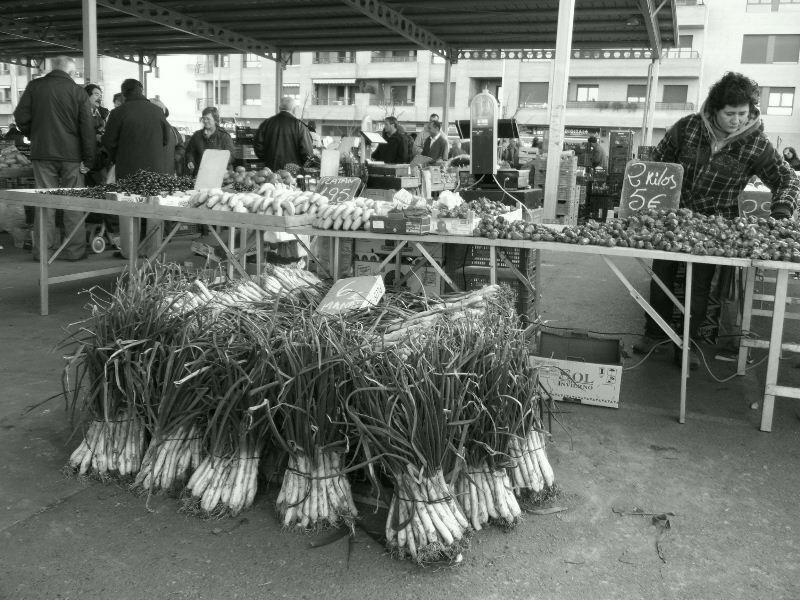 Foto de Lleida (Cataluña), España