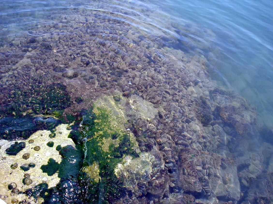 Foto de Trogir, Croacia