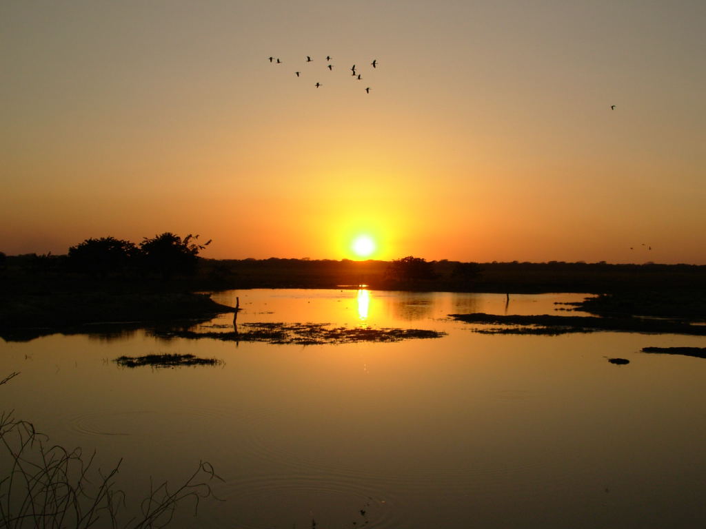 Foto de Cojedes, Venezuela