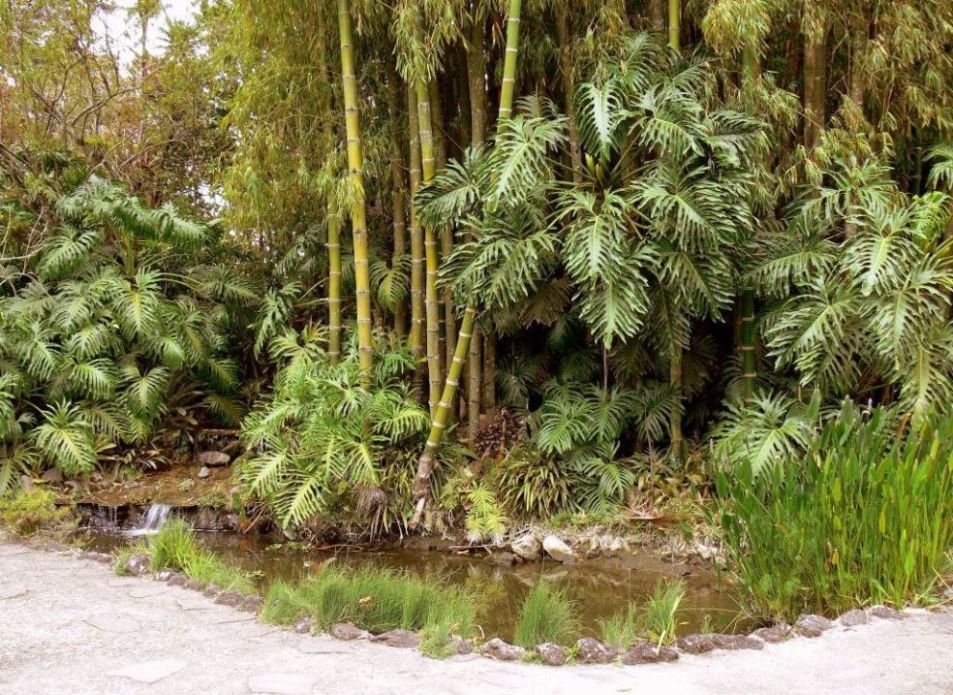 Foto de San Isidro (Alajuela), Costa Rica
