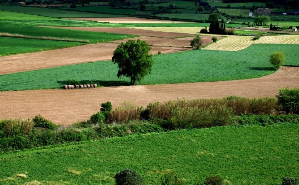 Foto de Tavèrnoles (Barcelona), España