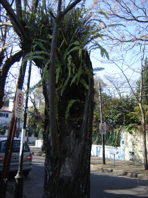 Foto de San Isidro (Buenos Aires), Argentina