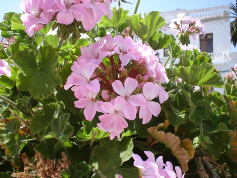 Foto de Lanzarote (Las Palmas), España